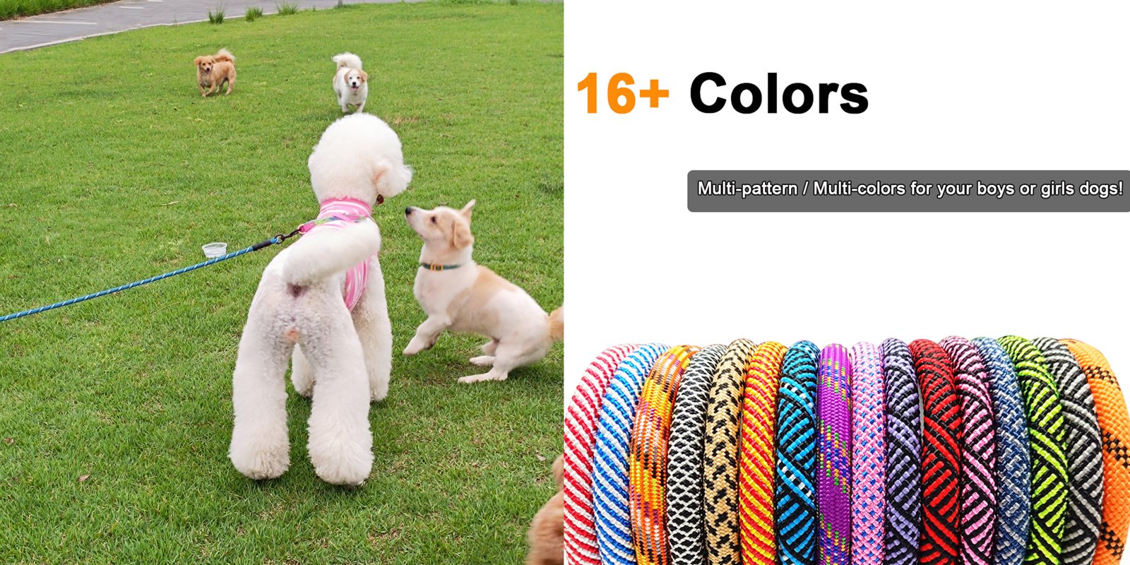 Sixteen MayPaw rope leash colors and a poodle at the park