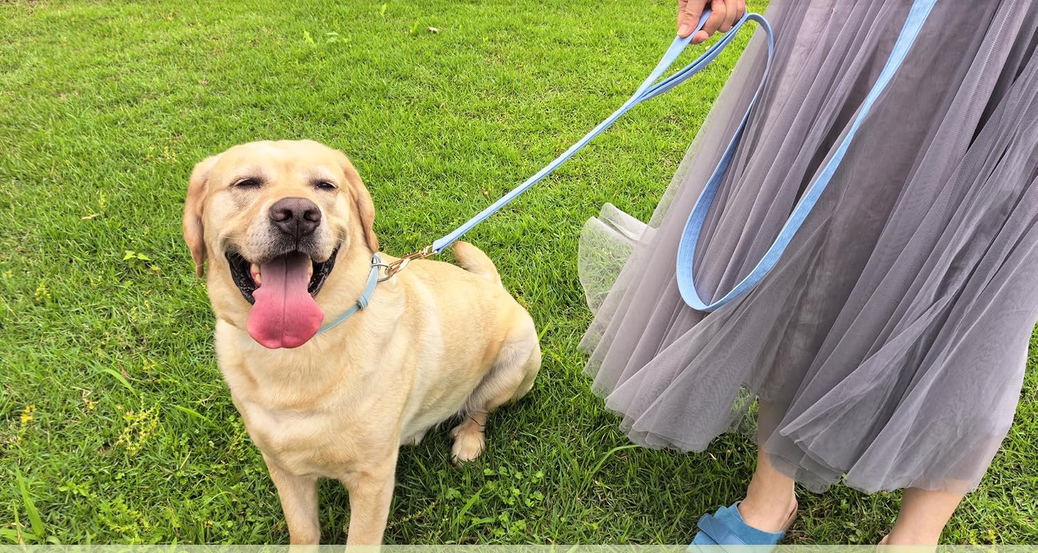 MayPaw Double-Handle Corduroy Leashes