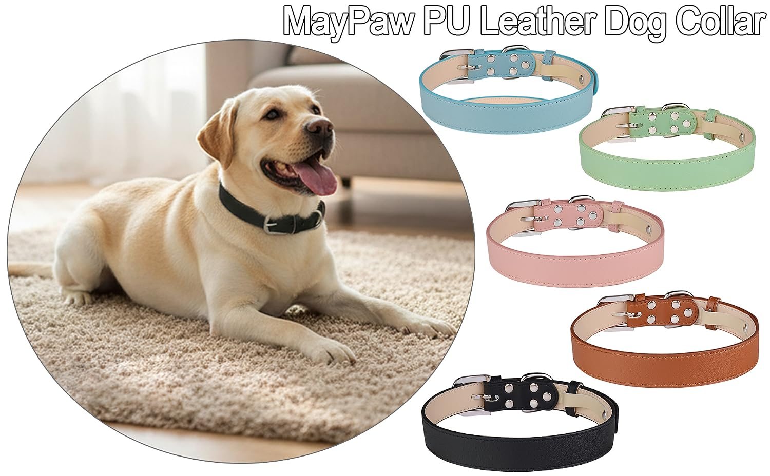MayPaw Dog Collars & Service Dog Gear — from the MayPaw brand gallery
