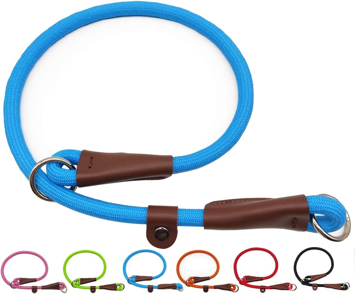 MayPaw Rope Slip Collar, 24" No-Pull Training Loop — Blue