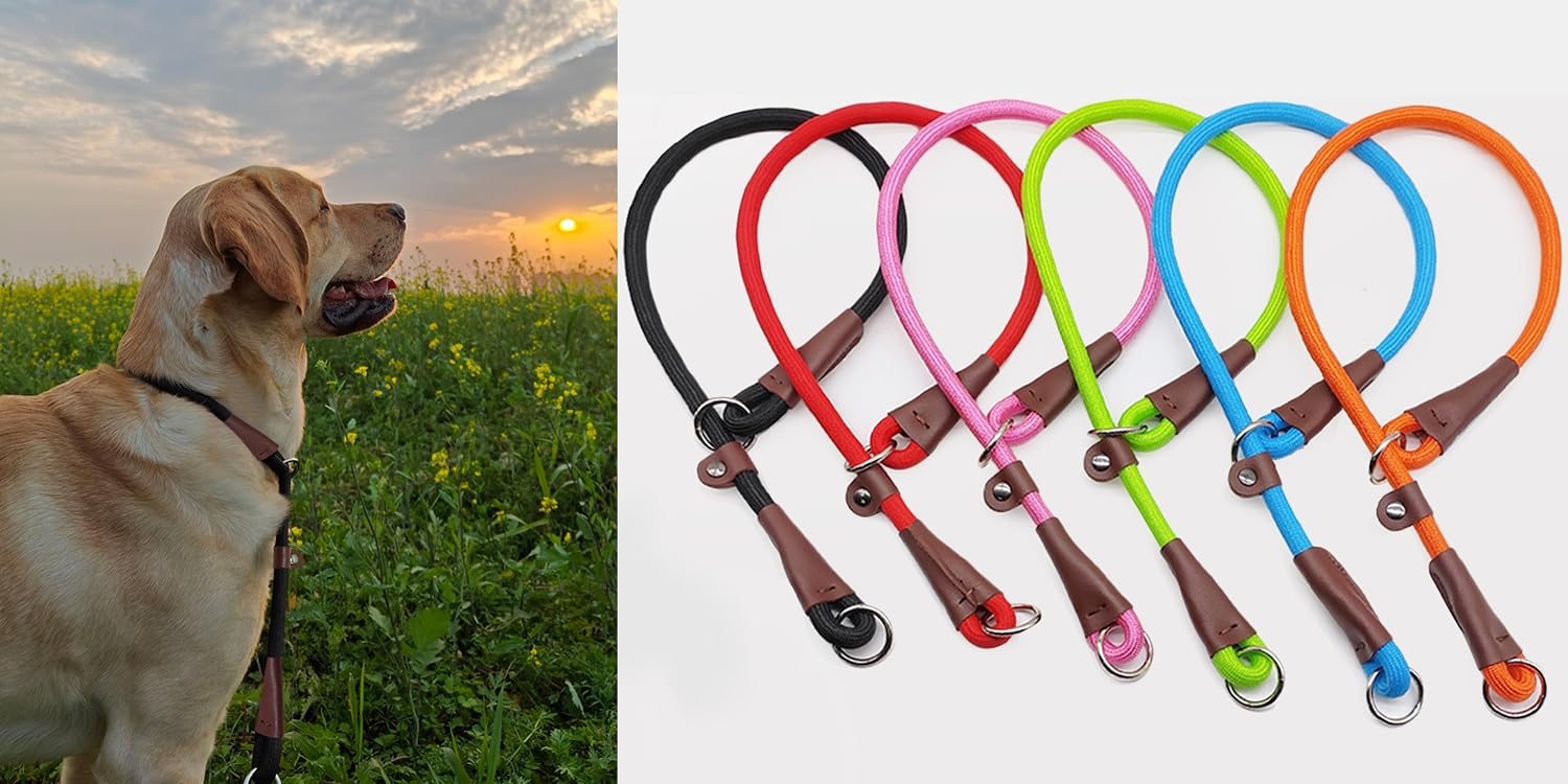 MayPaw Slip Leads & Rope Slip Collars — from the MayPaw brand gallery