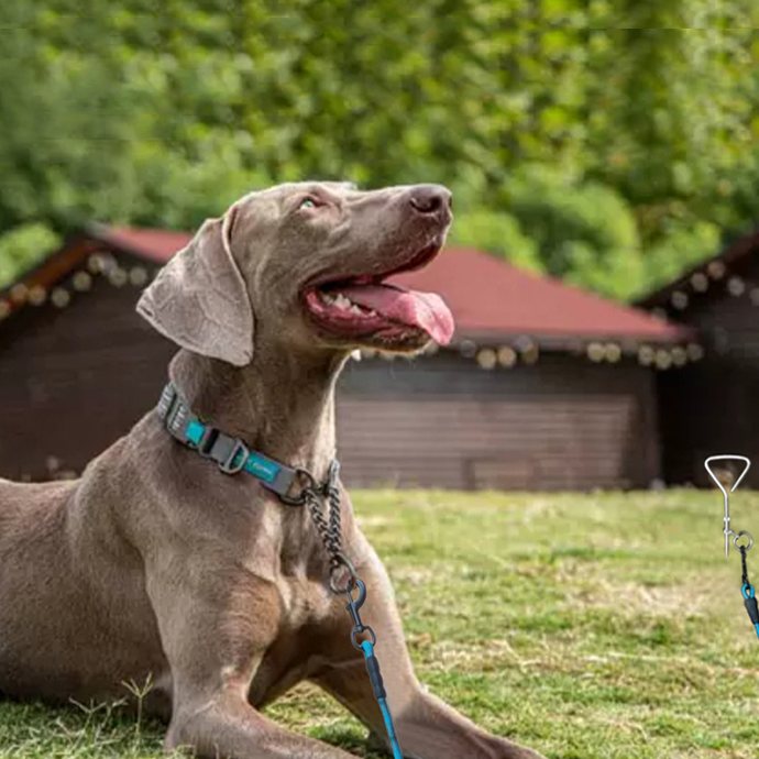 MayPaw Heavy-Duty Rope Leashes